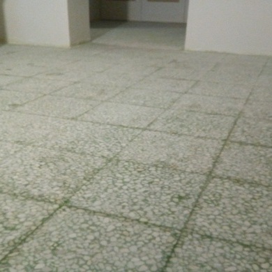 Room 1